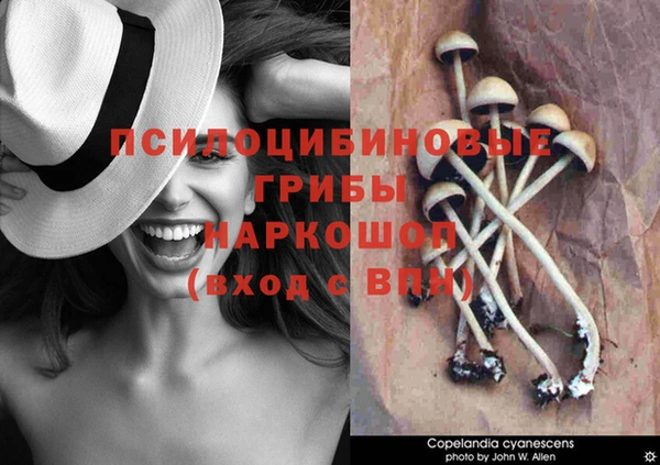 твердый Кукмор