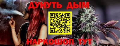 крисы Кулебаки