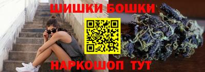 крисы Кулебаки