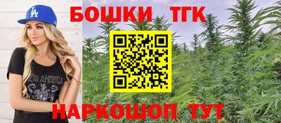 крисы Кулебаки