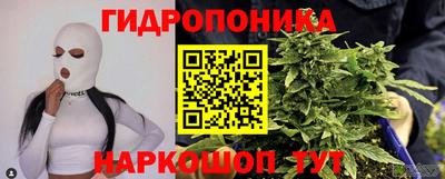крисы Кулебаки