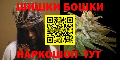 крисы Кулебаки