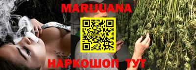сатива Кунгур