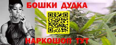 сатива Кунгур