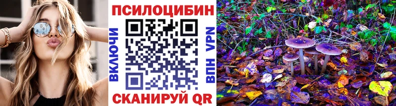 Псилоцибиновые грибы MAGIC MUSHROOMS  даркнет сайт  Шатура 