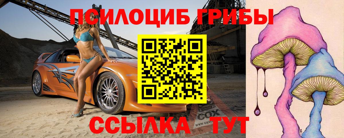 Псилоцибиновые грибы GOLDEN TEACHER Шатура