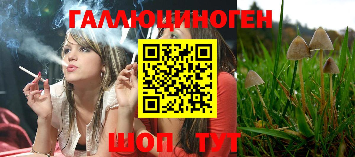 Шатура  Псилоцибиновые грибы Psilocybine cubensis  Вход с VPN  Псилоцибиновые грибы Cubensis 