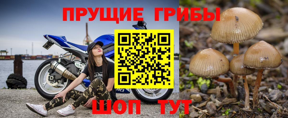 Псилоцибиновые грибы мухоморы Шатура